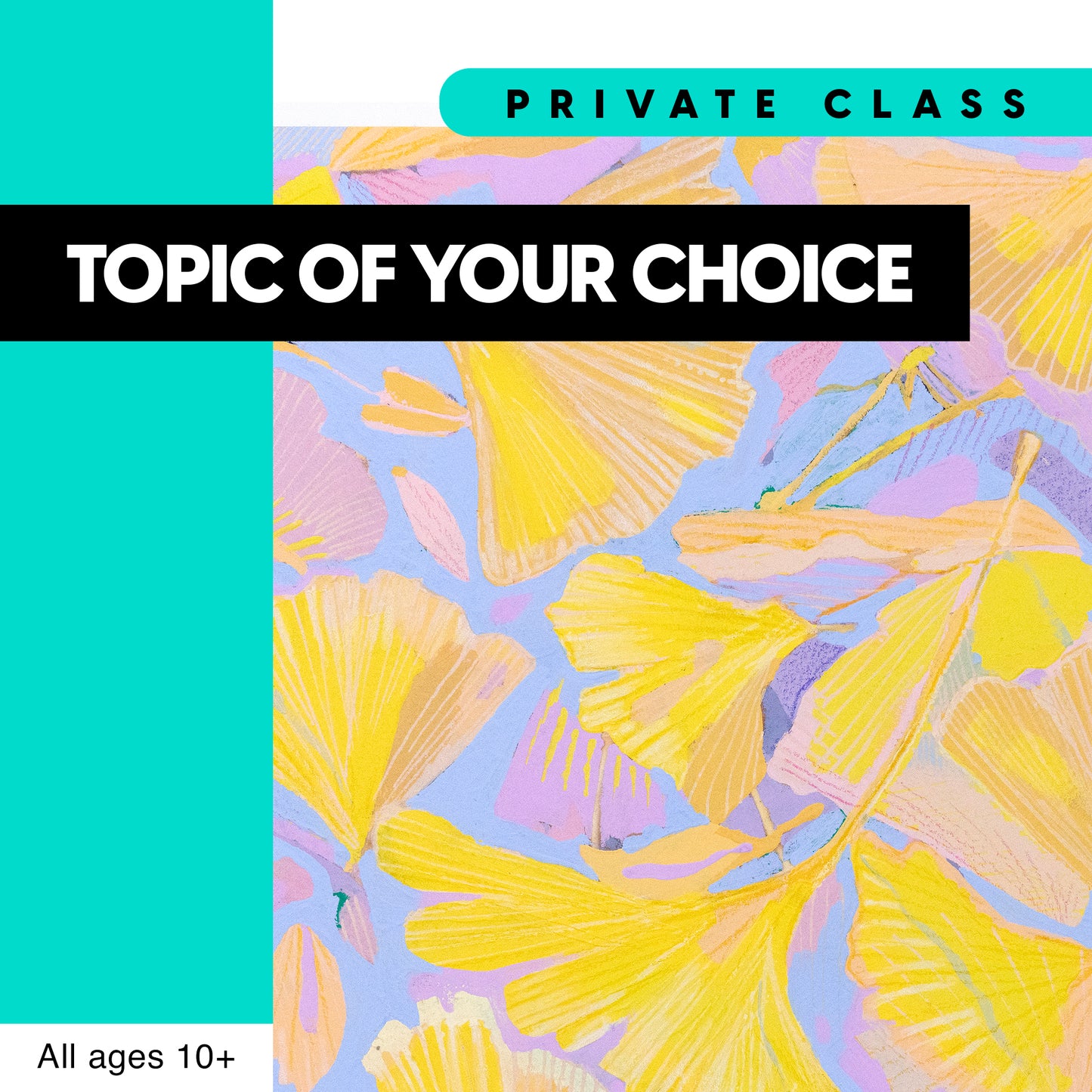 Private Class