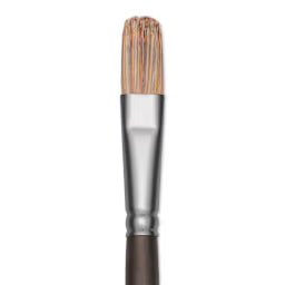 Princeton Pro Series Brushes