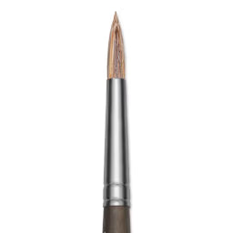 Princeton Pro Series Brushes