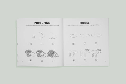 How to Draw Woodland Creatures for Kids