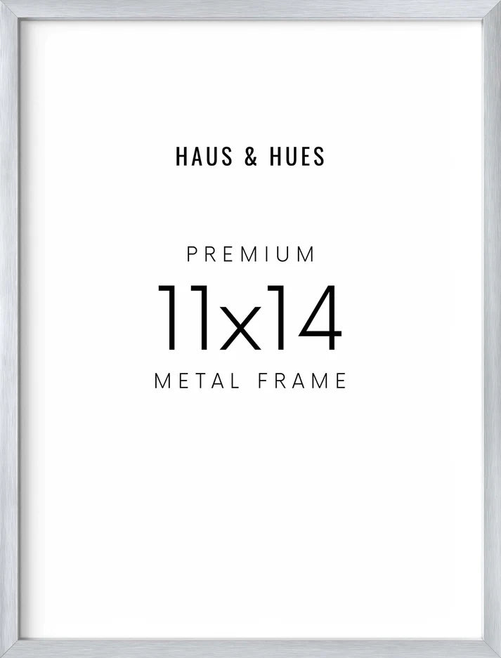 Aluminum Frames in Silver