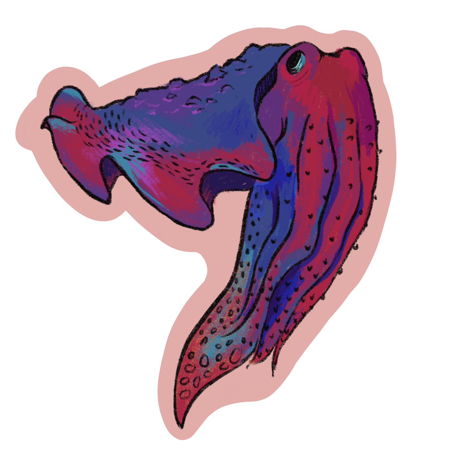 "Cuttlefish" Sticker by Olive Roberts