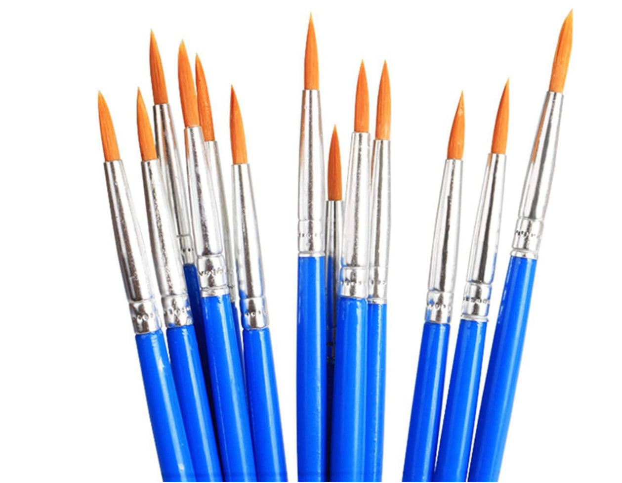 Brosse ronde pointue économique JOJODO