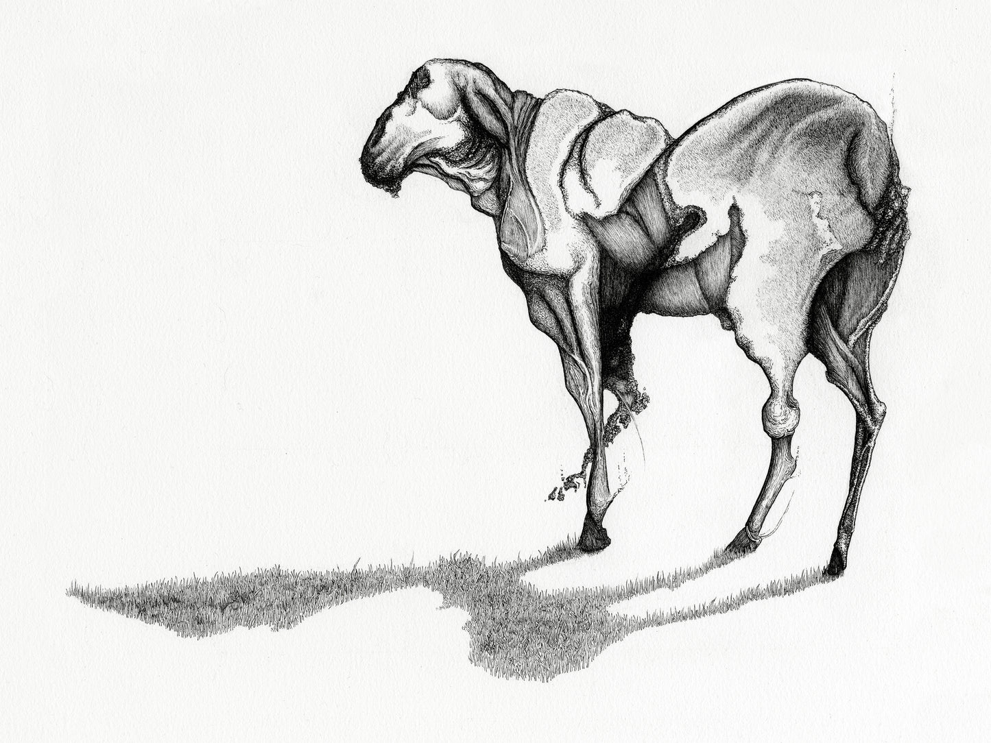 "The Sheep from Elsewhere" • Archival Print of Artwork by James Greer