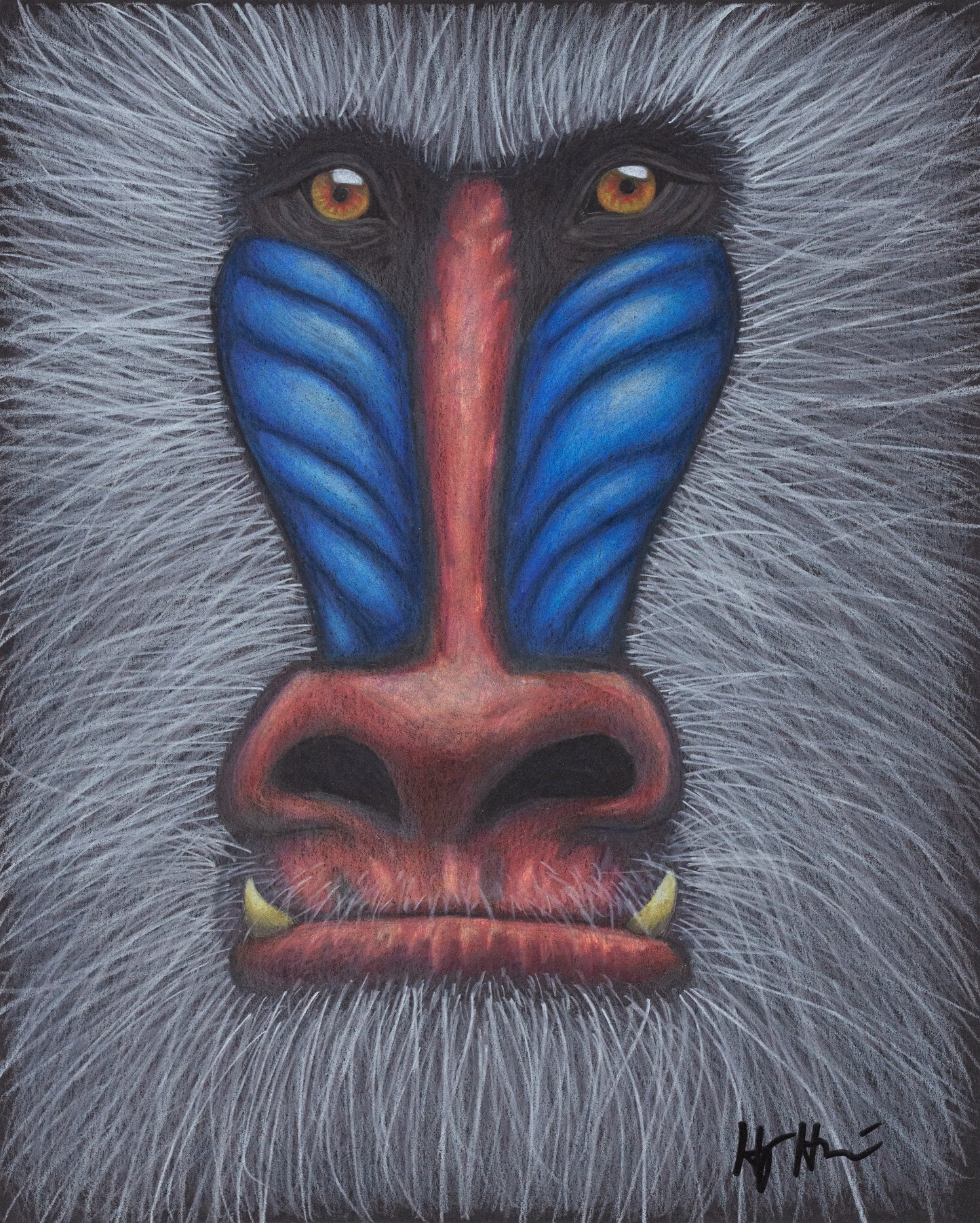 Impresión "Mandrill" de Holly Hutchinson