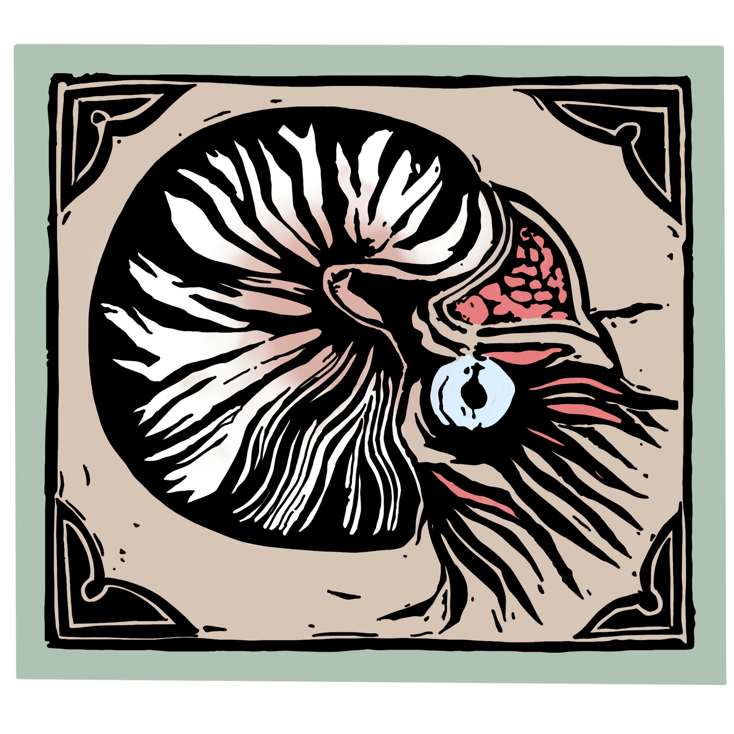 "Nautilus" Sticker by Olive Roberts