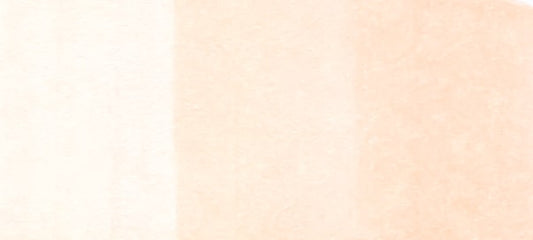Copic Sketch Markers in Earth Colors / E Series