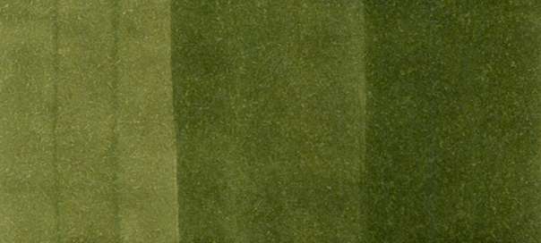 Copic Sketch Markers in Green Colors / G Series