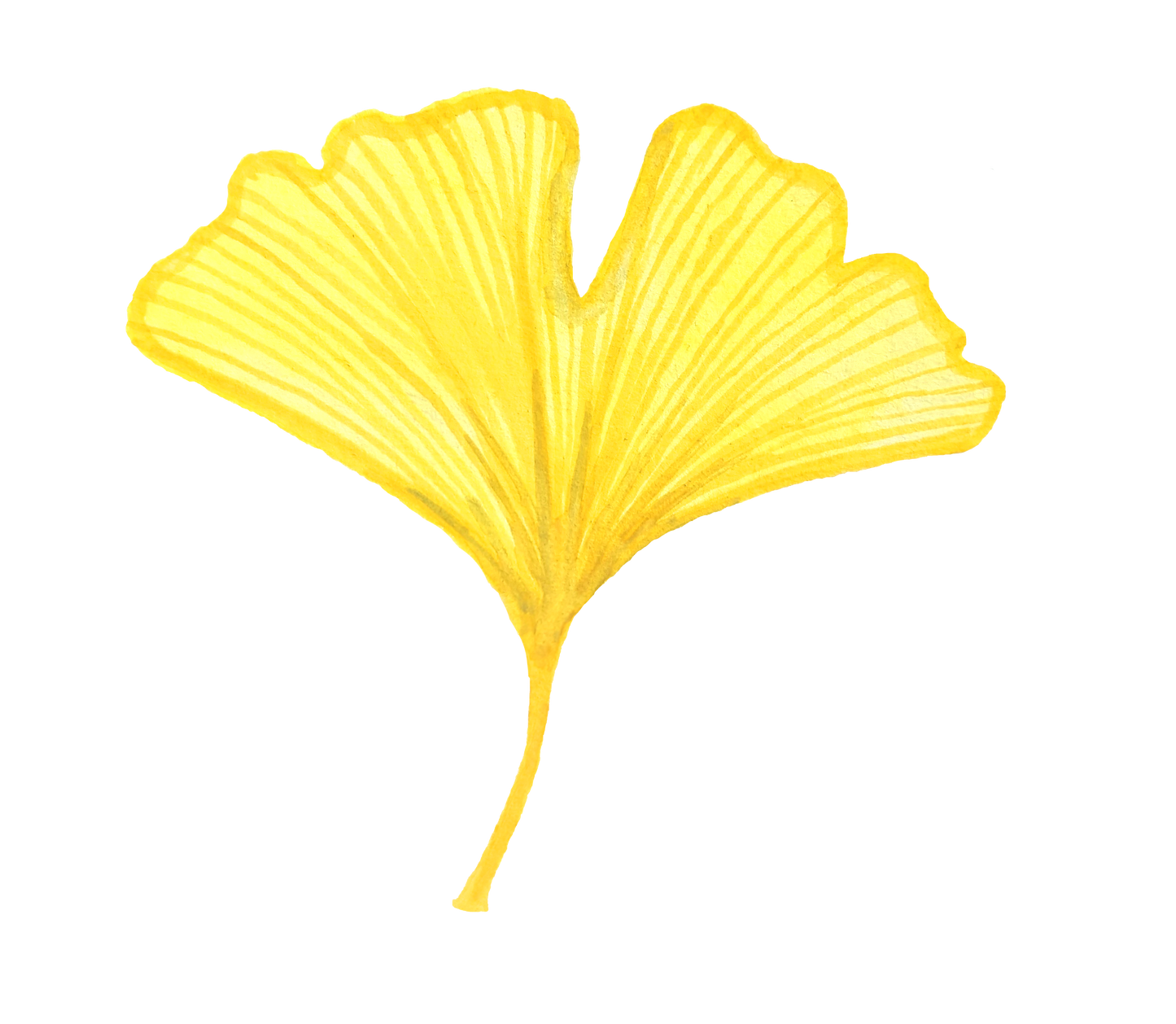 Gingko Leaf Sticker by ing.bit.design