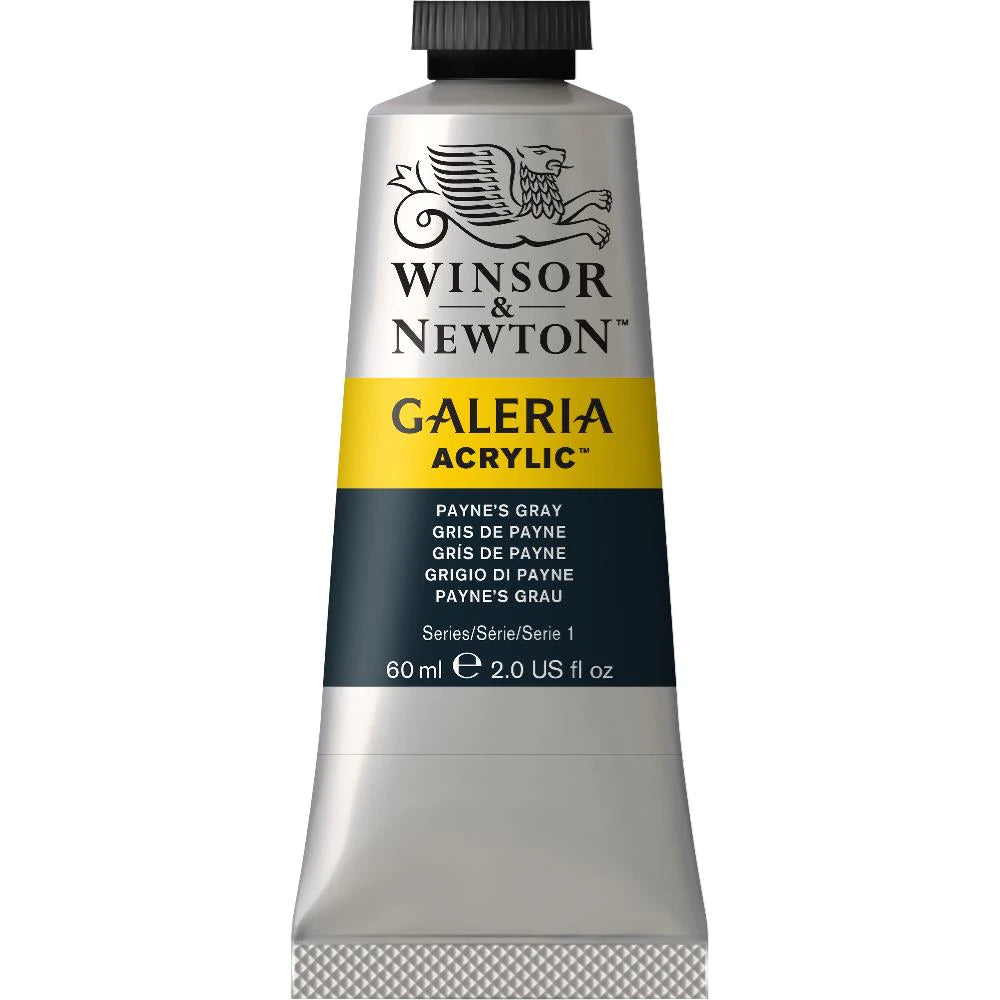 Winsor & Newton Galeria Acrylic Paint - 60 mL - Payne’s Gray by Winsor & Newton - K. A. Artist Shop