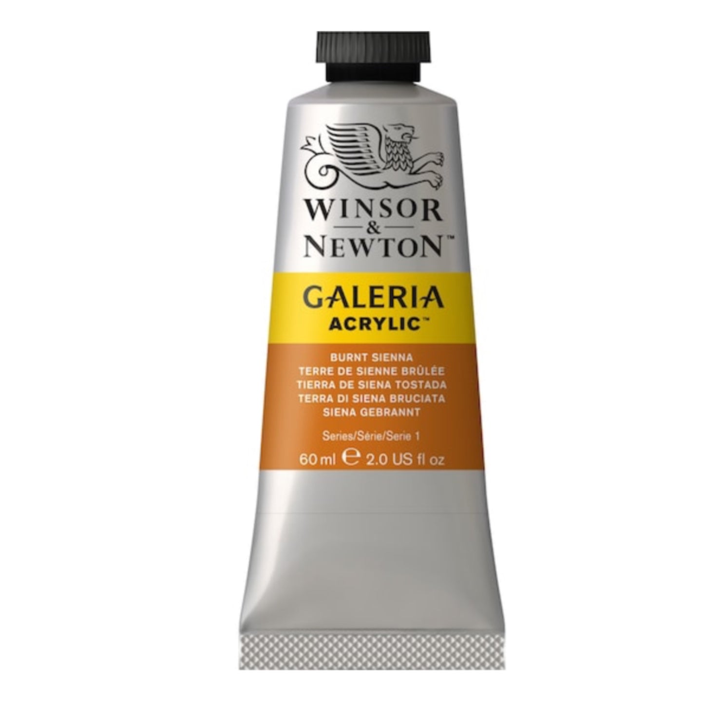 Winsor & Newton Galeria Acrylic Paint - 60 mL - Burnt Sienna by Winsor & Newton - K. A. Artist Shop