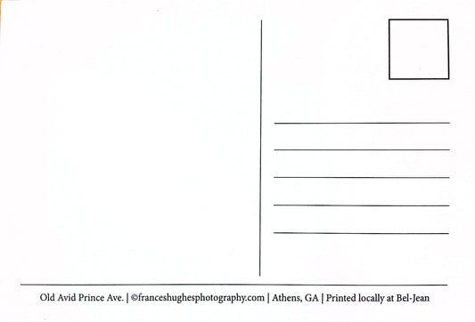 Athens, GA Postcards by Frances Hughes - Avid Bookshop - by Frances Hughes - K. A. Artist Shop