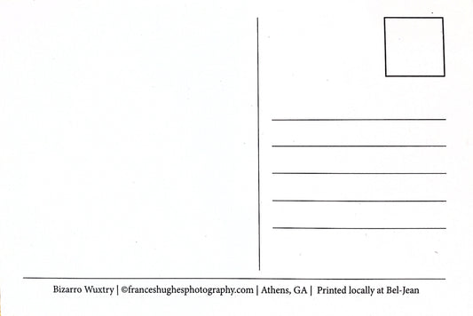 Athens, GA Postcards by Frances Hughes - Bizarro Wuxtry - by Frances Hughes - K. A. Artist Shop