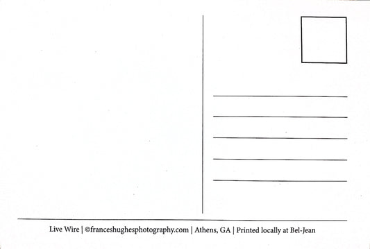 Athens, GA Postcards by Frances Hughes - Live Wire Athens - by Frances Hughes - K. A. Artist Shop
