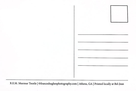 Athens, GA Postcards by Frances Hughes - R.E.M. Trestle in Black and White - by Frances Hughes - K. A. Artist Shop