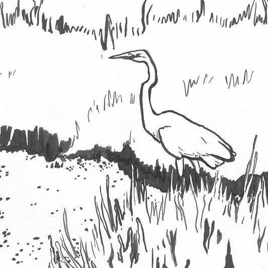 "The Sapelo Island Coloring Book" by Abigail West - by Abigail West - K. A. Artist Shop