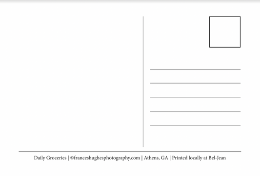Athens, GA Postcards by Frances Hughes - Daily Groceries Door - by Frances Hughes - K. A. Artist Shop