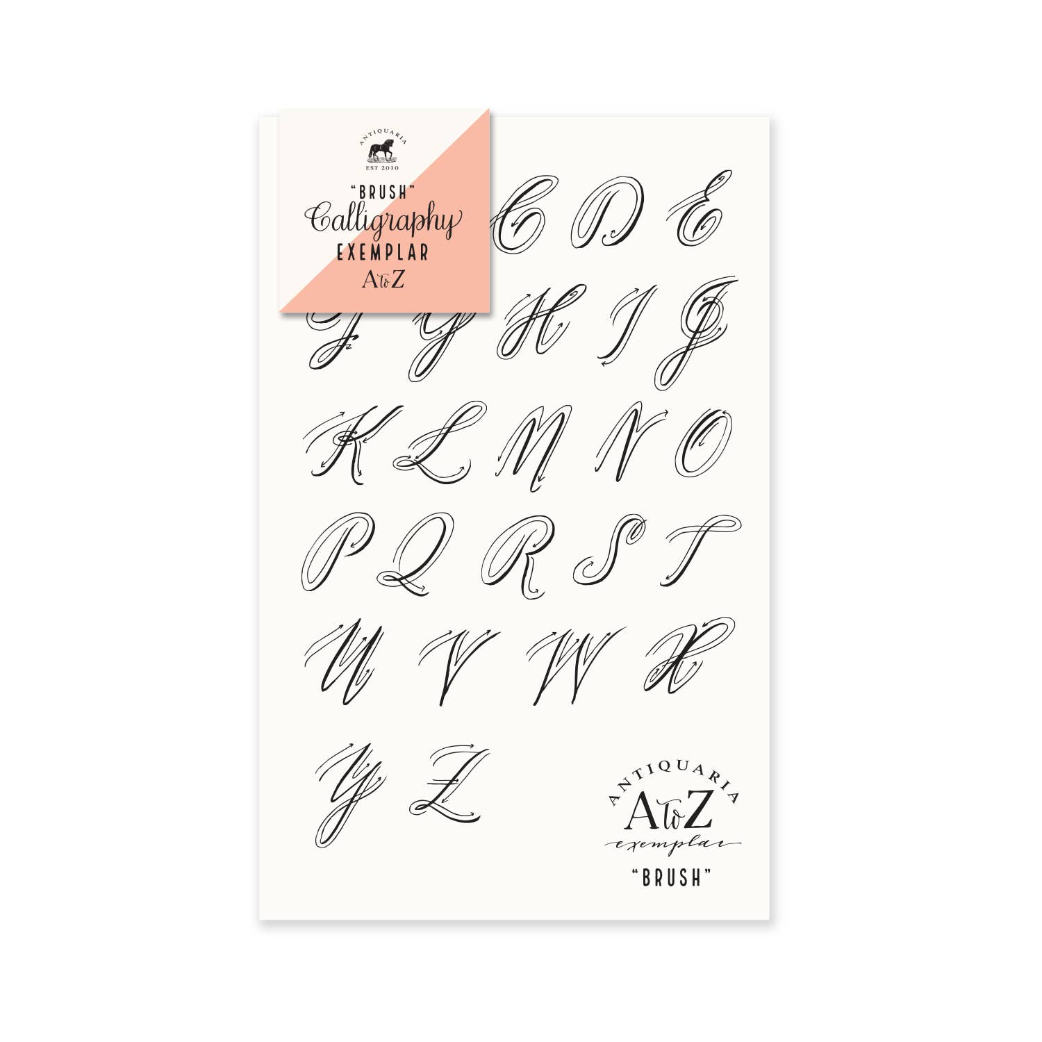 A L'AISE - Modern Calligraphy Beginners Workbook