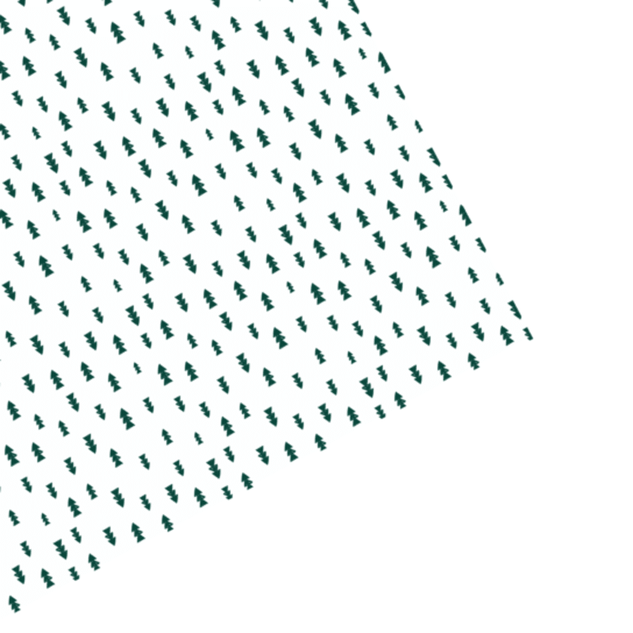 East Avenue Press Trees Gift Wrap - 3 Sheets - by East Avenue - K. A. Artist Shop