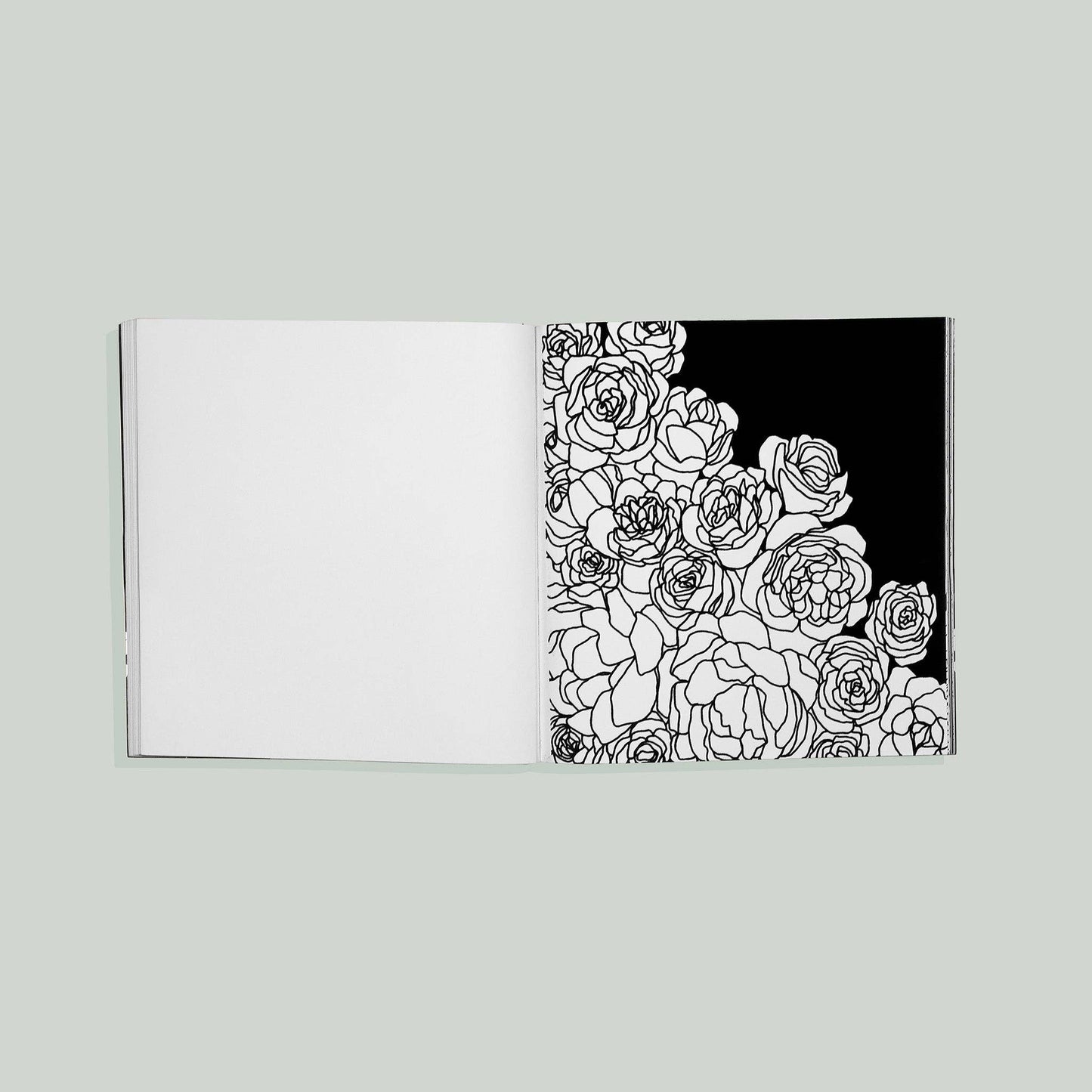 Bloom: Adult Coloring Book with Bonus Velvet Pages