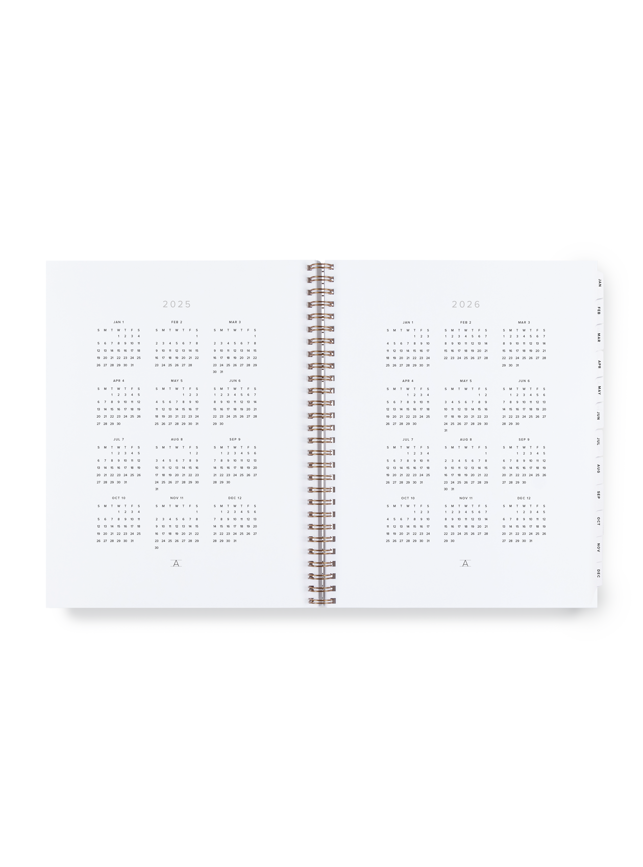 2025 Year Task Planner