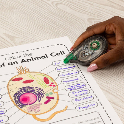 MONO Correction Tape