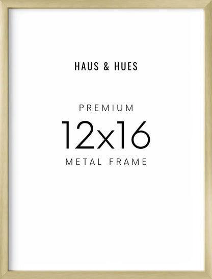 Aluminum Frames in Gold