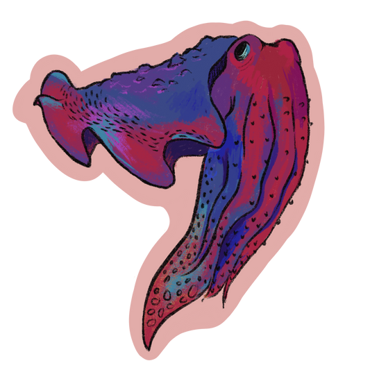 "Cuttlefish" Sticker by Olive Roberts