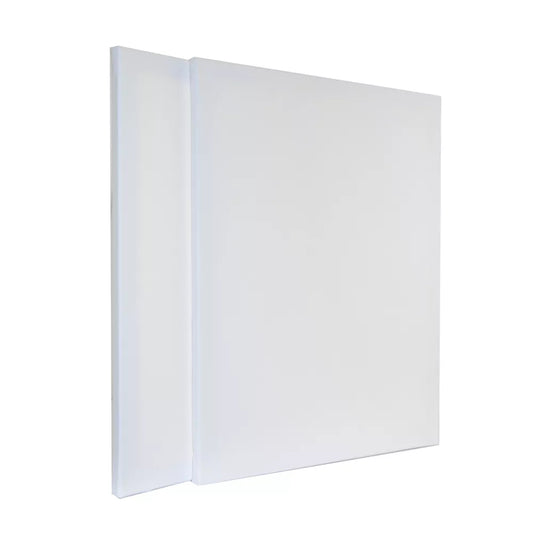 2-Pack of Select Stretched Canvas