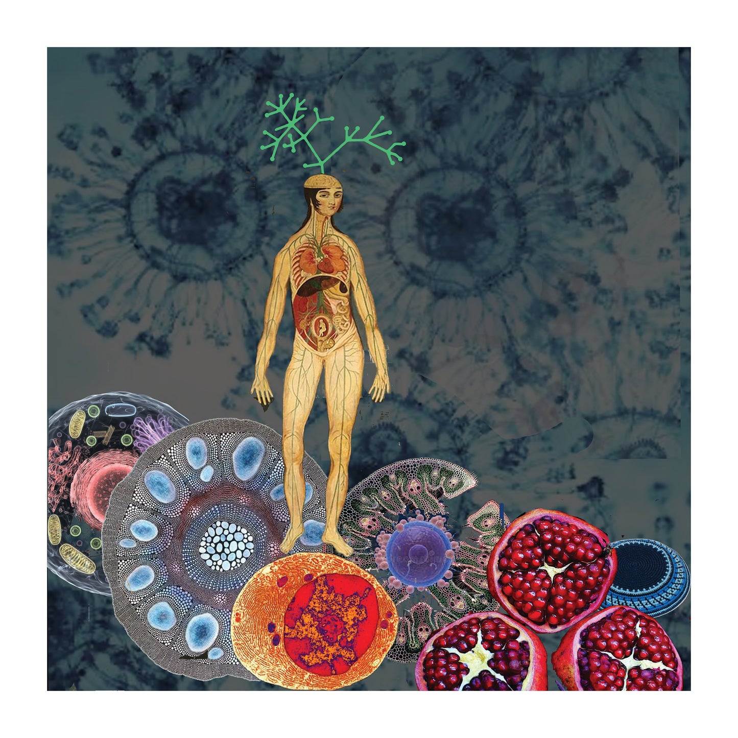 Archival Art Print of "Simbiota" by Aurora Levins Morales