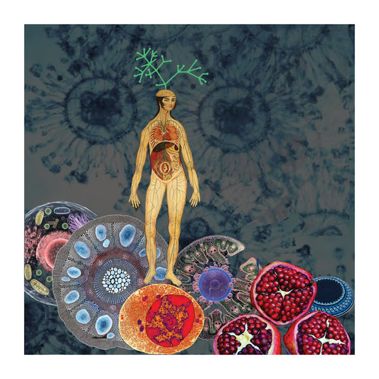 Archival Art Print of "Simbiota" by Aurora Levins Morales