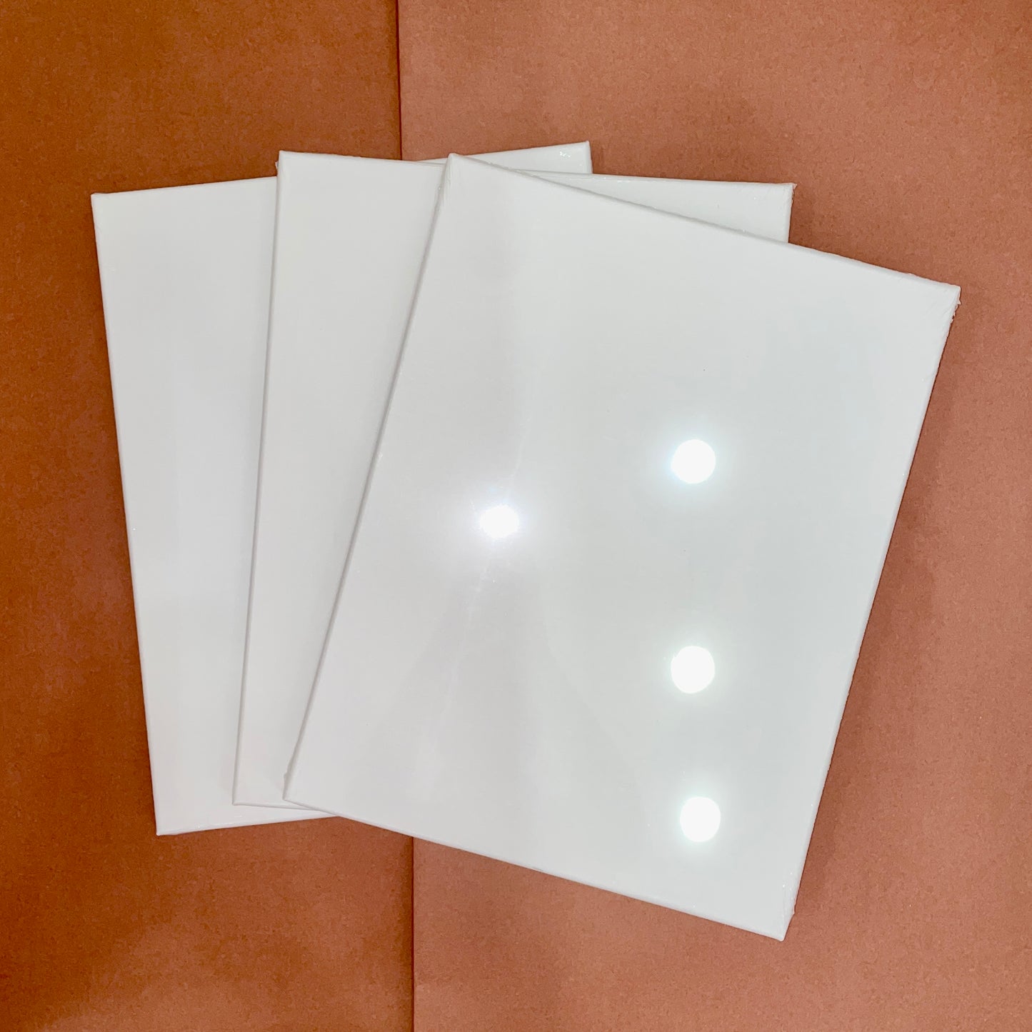 3-Pack of Select Stretched Canvas