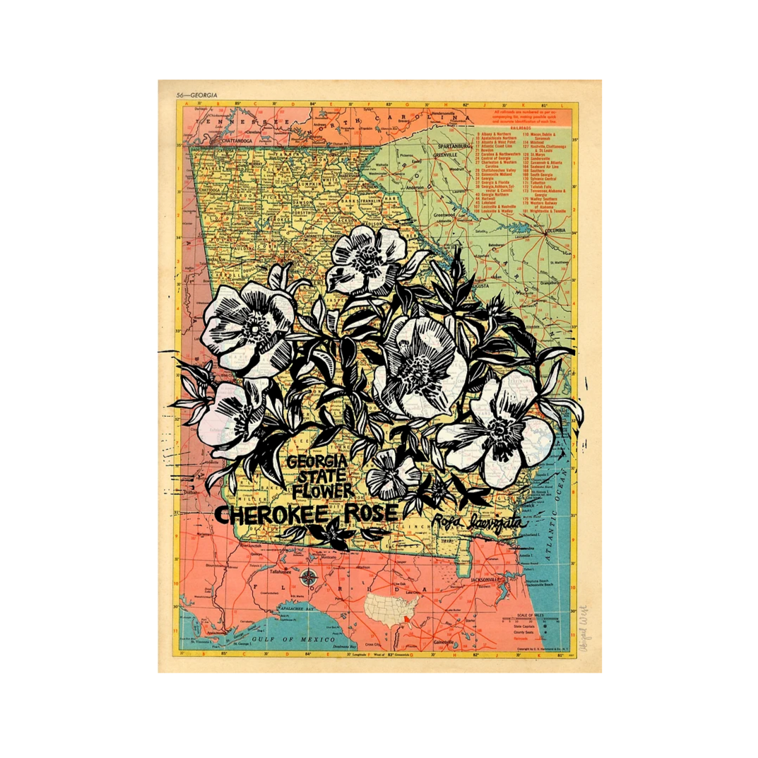 "Cherokee Rose" Handmade Prints by Abigail West