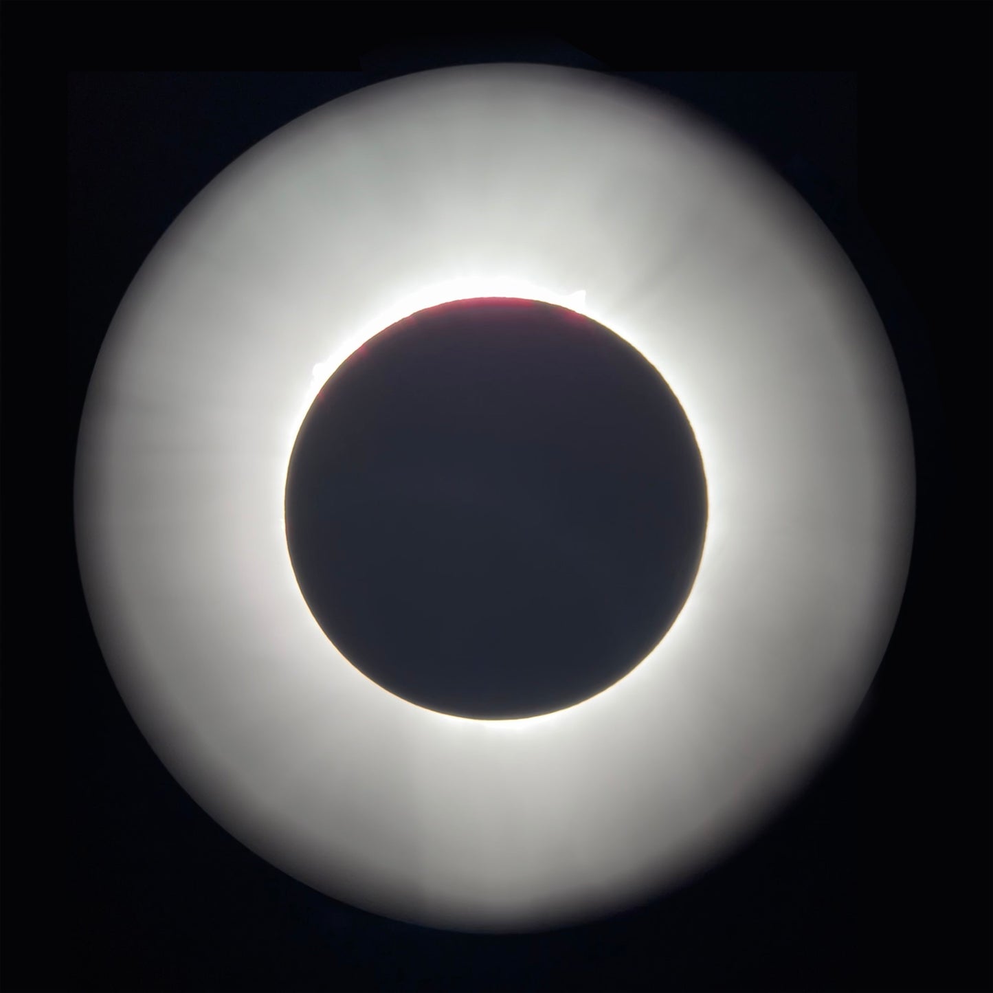 "Totality" Print by Christina Littleton