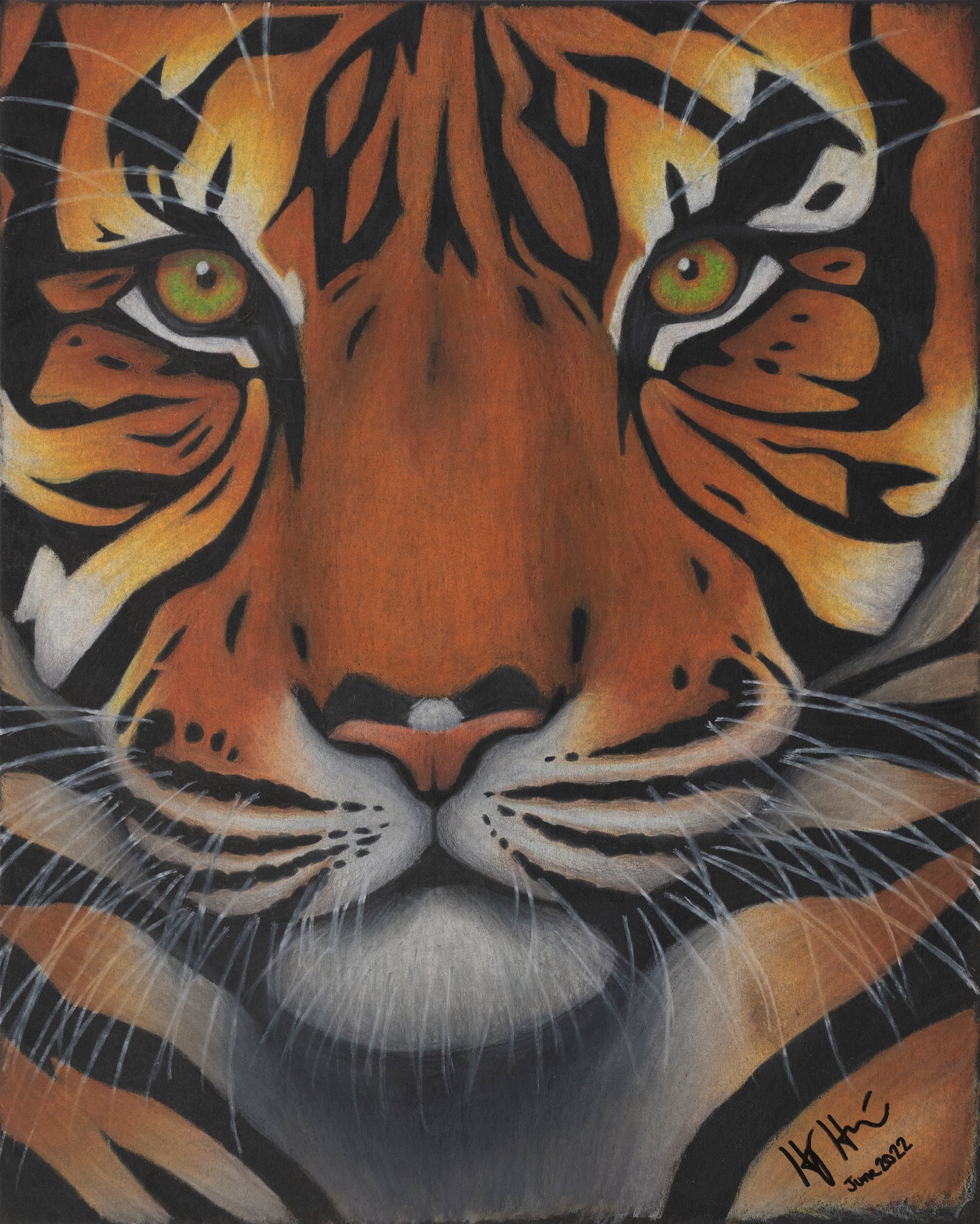Impresión "Tigre" de Holly Hutchinson