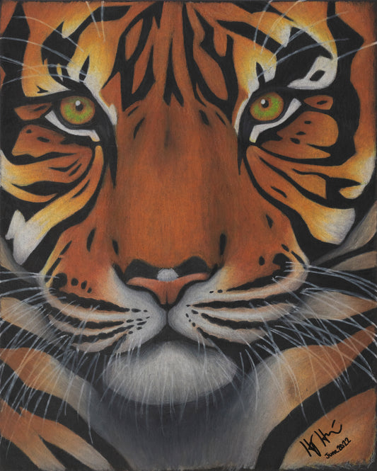 "Tiger" Print by Holly Hutchinson
