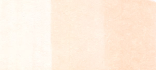 Copic Sketch Markers in Earth Colors / E Series