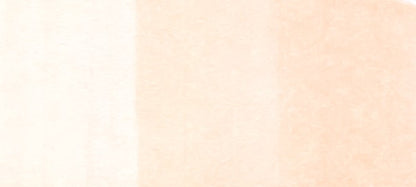 Copic Sketch Markers in Earth Colors / E Series