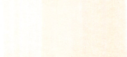 Copic Sketch Markers in Earth Colors / E Series