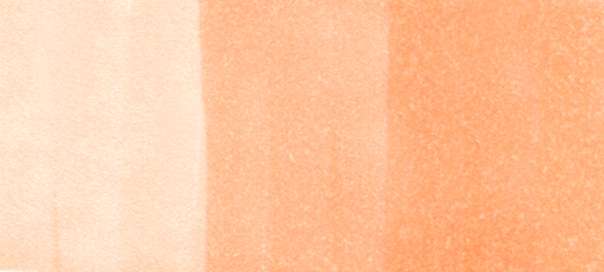 Copic Sketch Markers in Earth Colors / E Series