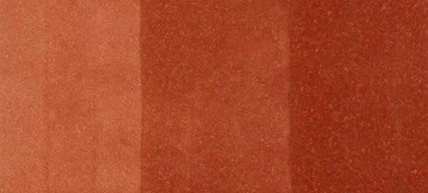 Copic Sketch Markers in Earth Colors / E Series