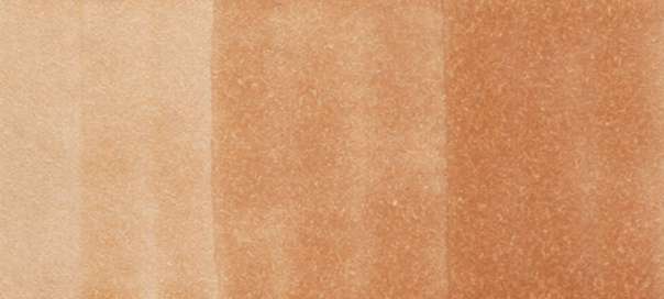 Copic Sketch Markers in Earth Colors / E Series