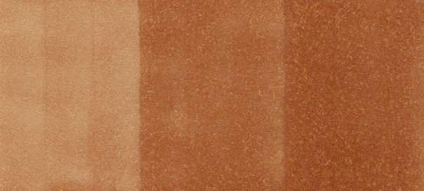Copic Sketch Markers in Earth Colors / E Series
