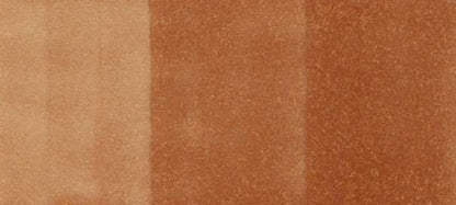 Copic Sketch Markers in Earth Colors / E Series