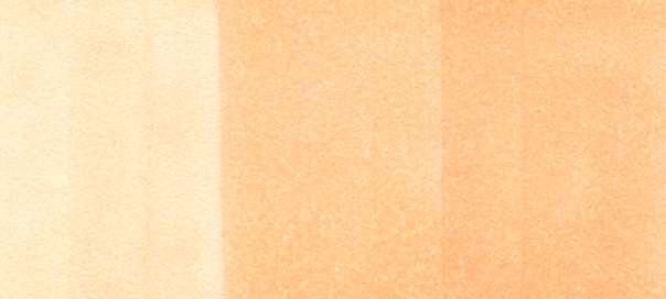 Copic Sketch Markers in Earth Colors / E Series