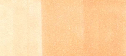 Copic Sketch Markers in Earth Colors / E Series