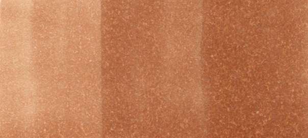 Copic Sketch Markers in Earth Colors / E Series
