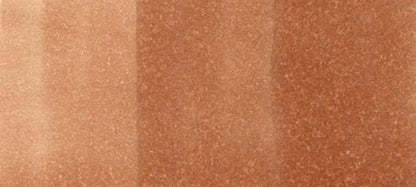 Copic Sketch Markers in Earth Colors / E Series