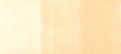 Copic Sketch Markers in Earth Colors / E Series