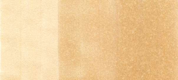 Copic Sketch Markers in Earth Colors / E Series
